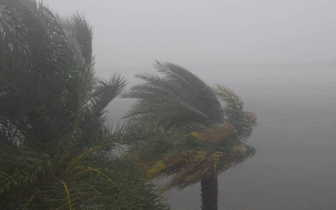 Bahamas After Humberto | Alice Engelbrink | HTX24