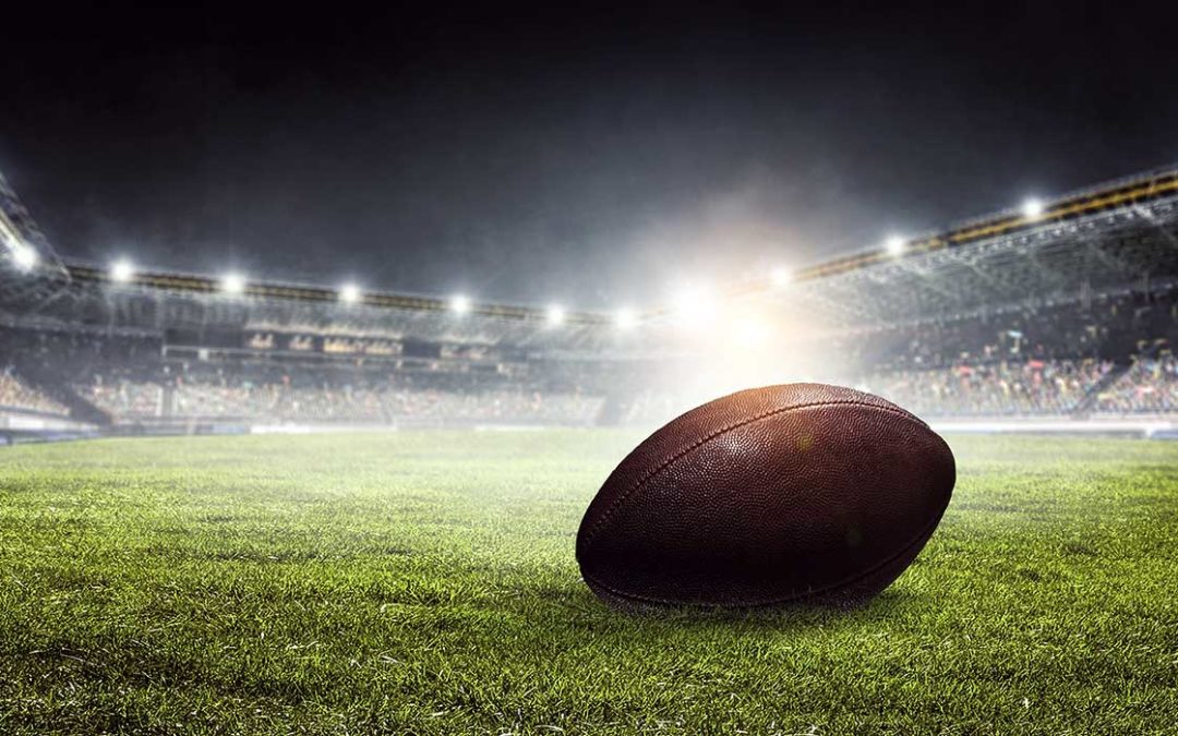 Alice Engelbrink | Houston Texans For The Win